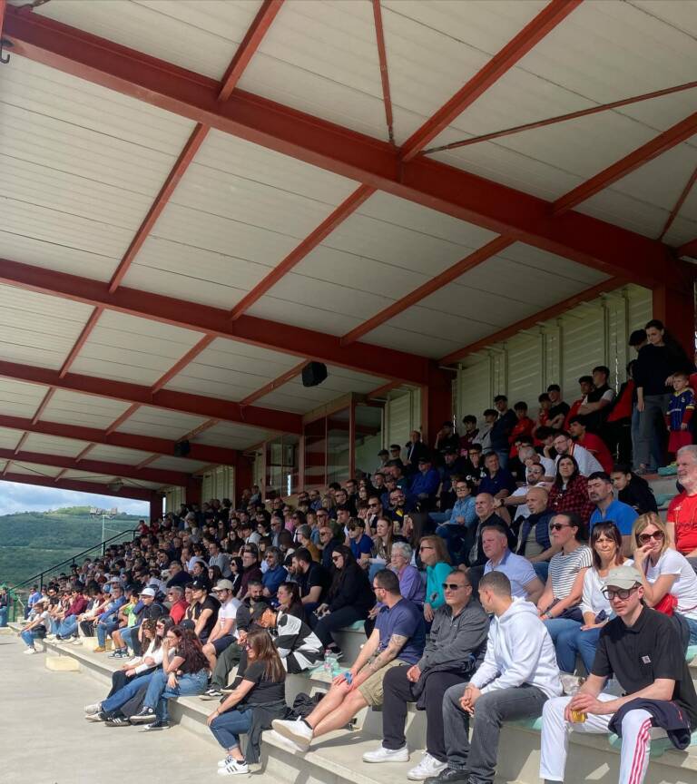 tribuna